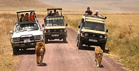 Safari vacation in Tanzania