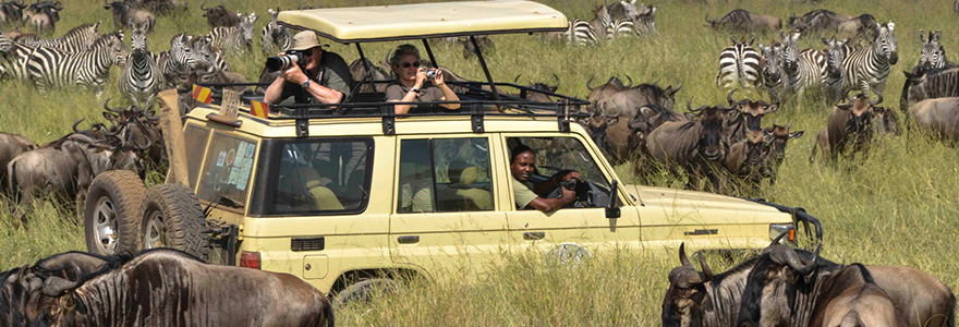 What are some different types of safaris in Tanzania?