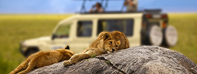 Tanzania safari