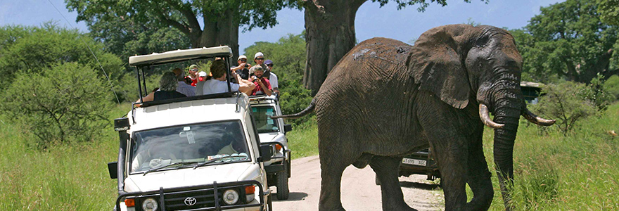 Lake Manyara