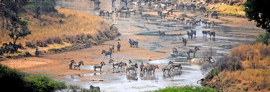 Lake Manyara