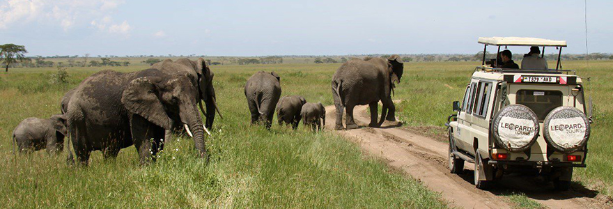 Ngorongoro Safari