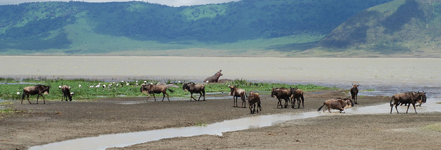 Tanzania