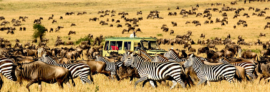 National Park Tanzania