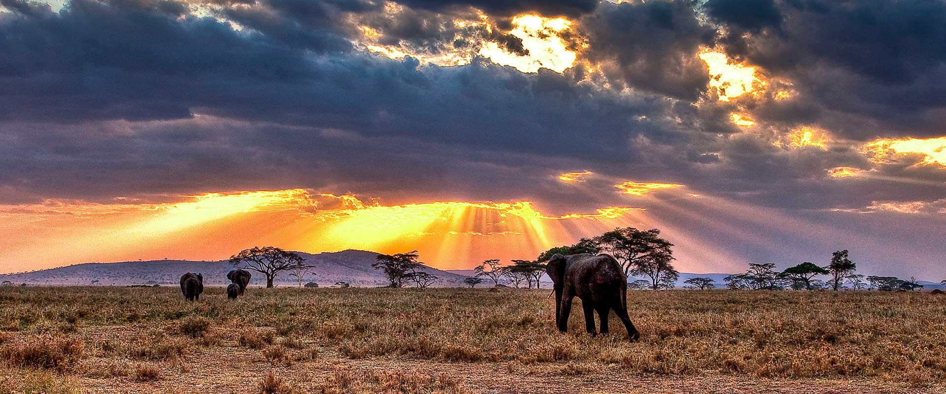 tanzania safari vacations